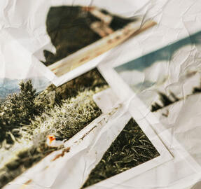 Untitled